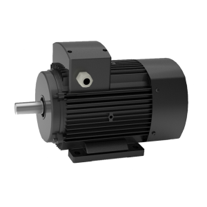 Permanent Magnet Assisted  Synchronous Reluctance Motor